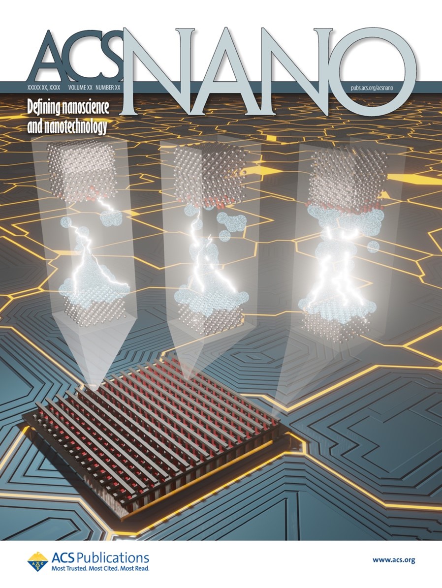 Enlarged view: ACS Nano Cover May 2023